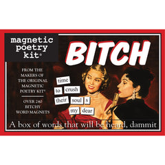 Magentic Poetry Kit: Bitch